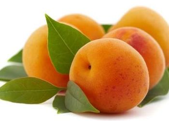 Самогон из абрикосов